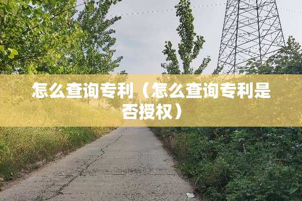 怎么查询专利（怎么查询专利是否授权）