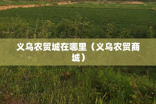 义乌农贸城在哪里（义乌农贸商城）