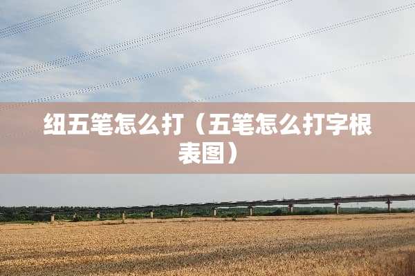 纽五笔怎么打（五笔怎么打字根表图）