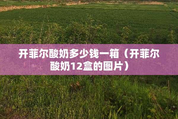 开菲尔酸奶多少钱一箱（开菲尔酸奶12盒的图片）