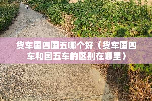 货车国四国五哪个好（货车国四车和国五车的区别在哪里）