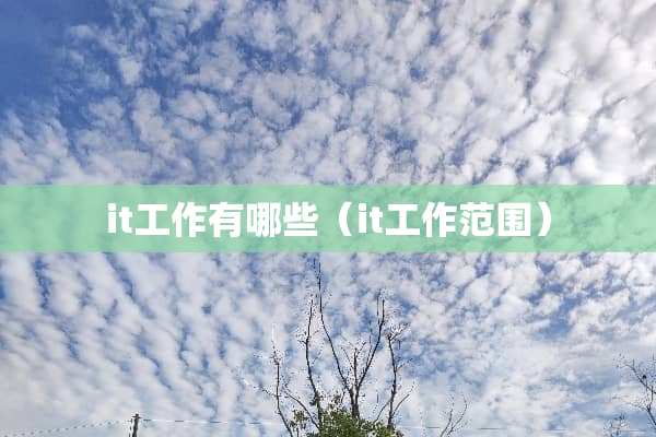 it工作有哪些（it工作范围）