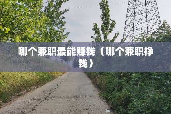 哪个兼职最能赚钱（哪个兼职挣钱）