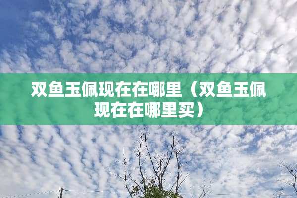 双鱼玉佩现在在哪里（双鱼玉佩现在在哪里买）