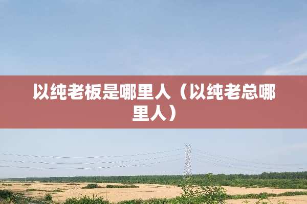 以纯老板是哪里人（以纯老总哪里人）