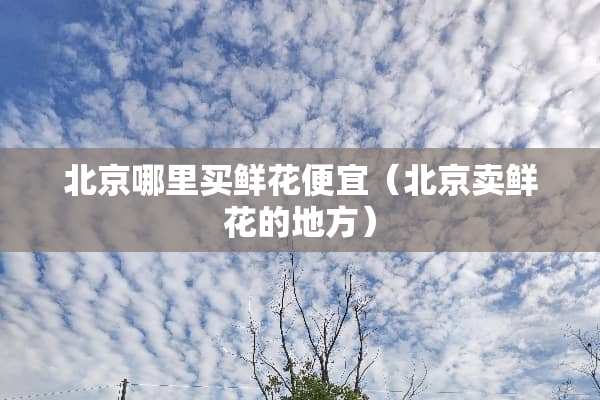 北京哪里买鲜花便宜（北京卖鲜花的地方）