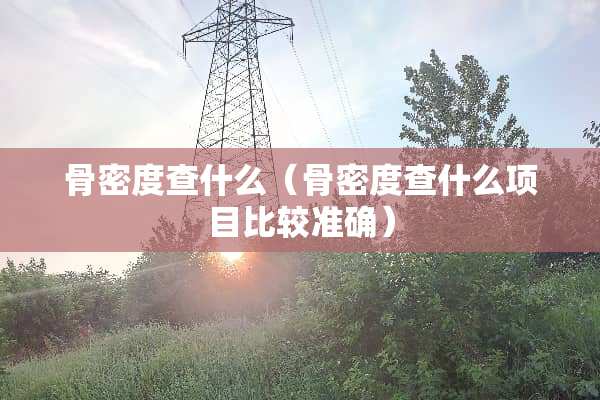 骨密度查什么（骨密度查什么项目比较准确）