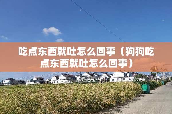 吃点东西就吐怎么回事（狗狗吃点东西就吐怎么回事）