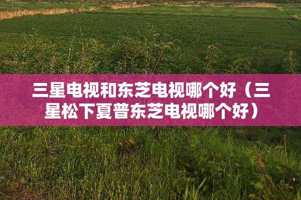 三星电视和东芝电视哪个好（三星松下夏普东芝电视哪个好）