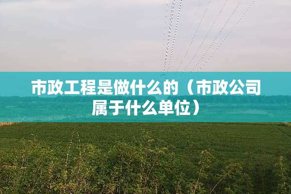 市政工程是做什么的（市政公司属于什么单位）