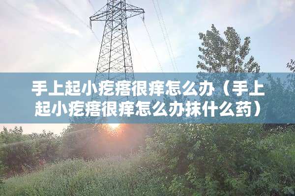 手上起小疙瘩很痒怎么办（手上起小疙瘩很痒怎么办抹什么药）