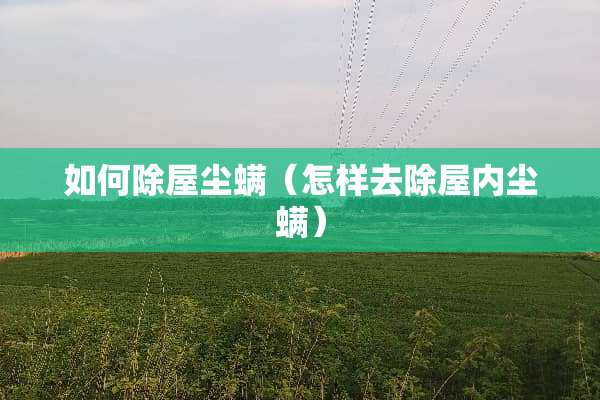如何除屋尘螨（怎样去除屋内尘螨）