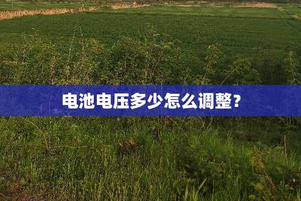 电池电压多少怎么调整？