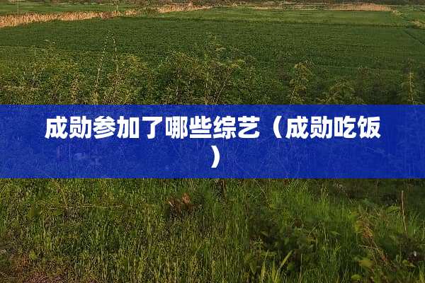 成勋参加了哪些综艺（成勋吃饭）
