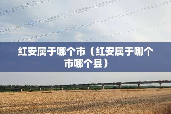 红安属于哪个市（红安属于哪个市哪个县）