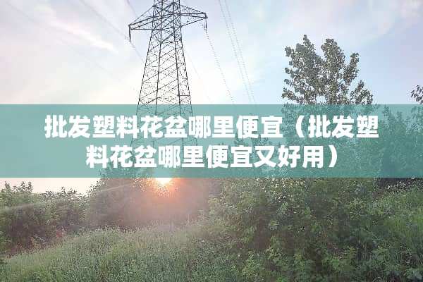 批发塑料花盆哪里便宜（批发塑料花盆哪里便宜又好用）