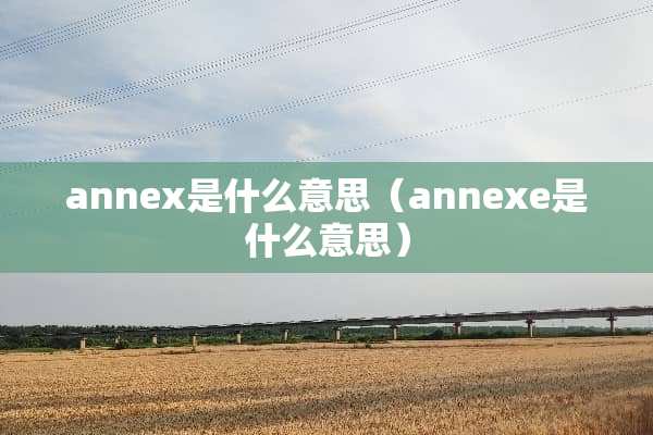 annex是什么意思（annexe是什么意思）