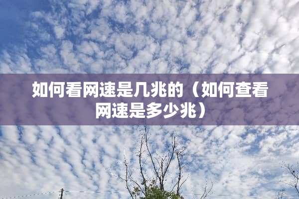 如何看网速是几兆的（如何查看网速是多少兆）