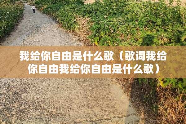 我给你自由是什么歌（歌词我给你自由我给你自由是什么歌）