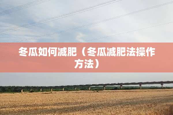 冬瓜如何减肥（冬瓜减肥法操作方法）