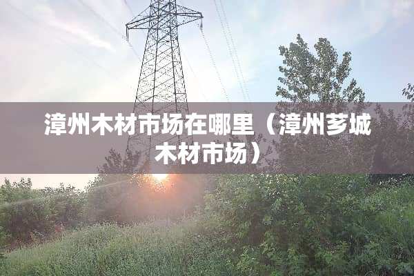 漳州木材市场在哪里（漳州芗城木材市场）