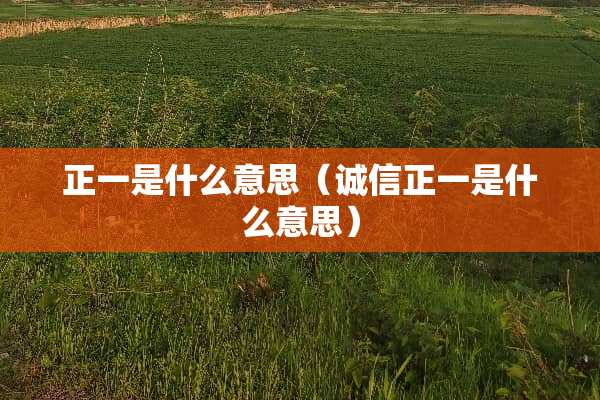 正一是什么意思（诚信正一是什么意思）
