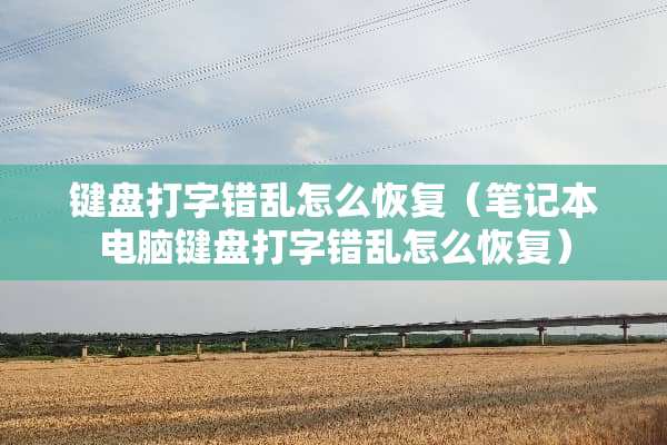 键盘打字错乱怎么恢复（笔记本电脑键盘打字错乱怎么恢复）