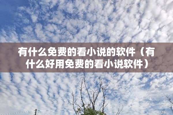 有什么免费的看小说的软件（有什么好用免费的看小说软件）