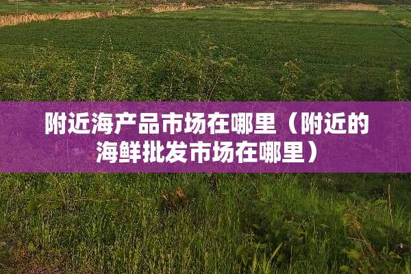 附近海产品市场在哪里（附近的海鲜批发市场在哪里）