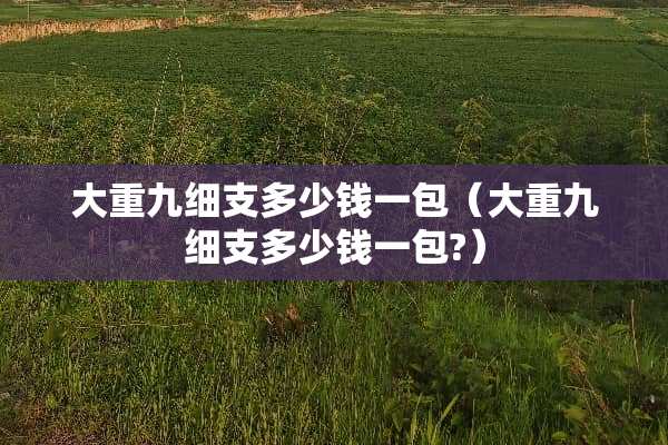 大重九细支多少钱一包（大重九细支多少钱一包?）