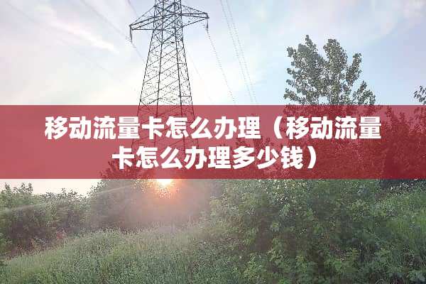 移动流量卡怎么办理（移动流量卡怎么办理多少钱）