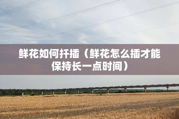 鲜花如何扦插（鲜花怎么插才能保持长一点时间）