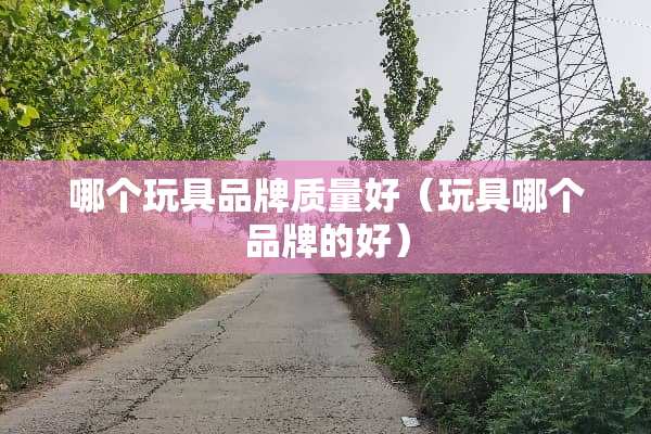 哪个玩具品牌质量好（玩具哪个品牌的好）
