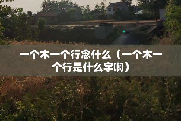 一个木一个行念什么（一个木一个行是什么字啊）