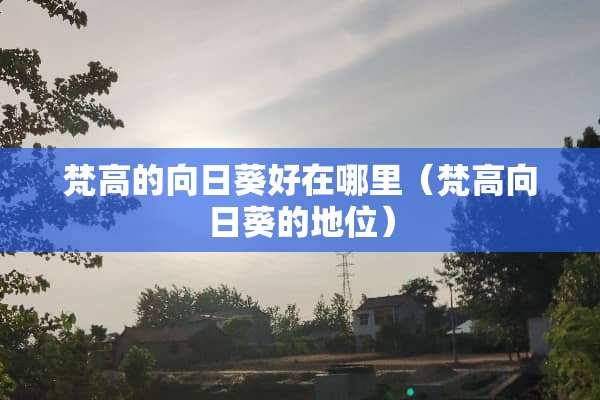 梵高的向日葵好在哪里（梵高向日葵的地位）