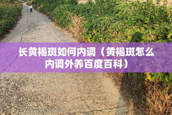 长***如何内调（***怎么内调外养百度百科）