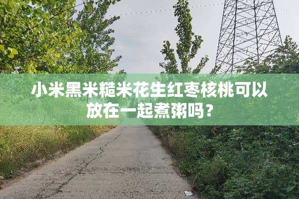 小米黑米糙米花生红枣核桃可以放在一起煮粥吗？