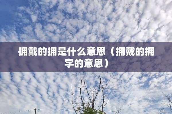 拥戴的拥是什么意思（拥戴的拥字的意思）