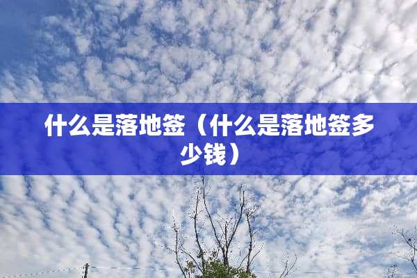 什么是落地签（什么是落地签多少钱）