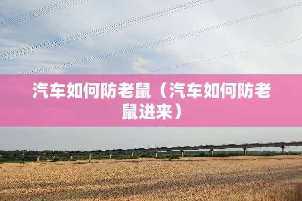 汽车如何防老鼠（汽车如何防老鼠进来）
