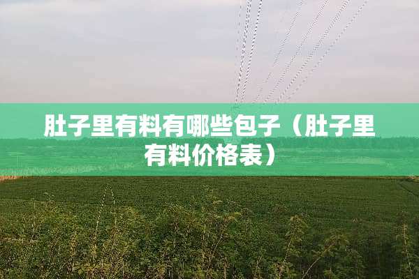 肚子里有料有哪些包子（肚子里有料价格表）