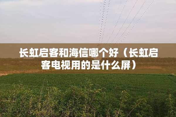 长虹启客和海信哪个好（长虹启客电视用的是什么屏）