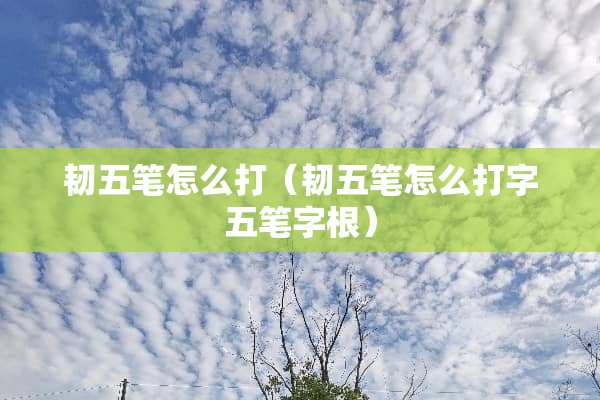韧五笔怎么打（韧五笔怎么打字五笔字根）