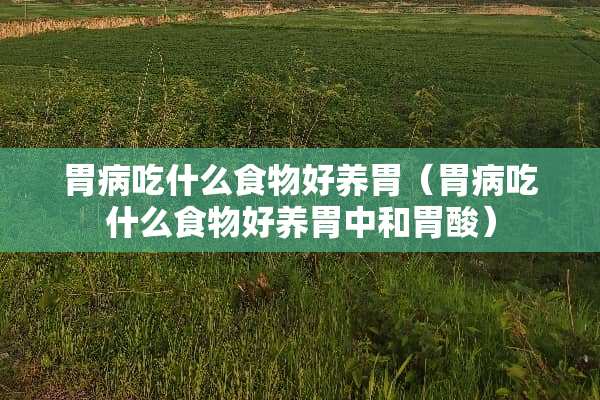 胃病吃什么食物好养胃（胃病吃什么食物好养胃中和胃酸）