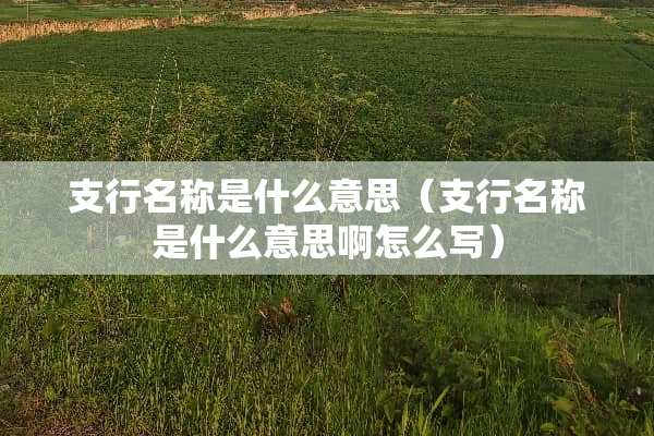 支行名称是什么意思（支行名称是什么意思啊怎么写）
