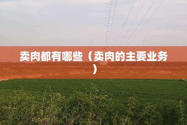 卖肉都有哪些（卖肉的主要业务）