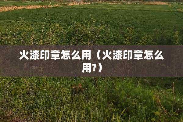 火漆印章怎么用（火漆印章怎么用?）