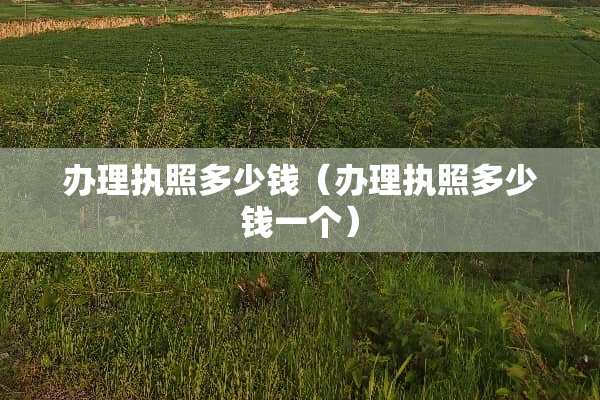 办理执照多少钱（办理执照多少钱一个）