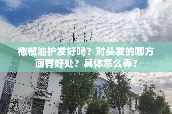 橄榄油护发好吗？对头发的哪方面有好处？具体怎么弄？