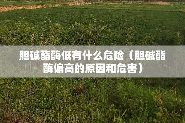 胆碱酯酶低有什么危险（胆碱酯酶偏高的原因和危害）